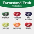thumbnail image 4 of Jelly Belly Farmstand Fruit Jelly Bean Collection - 8 oz Pouch Bag, 10-Count Case - Genuine, Official, Straight from the Source, 4 of 9