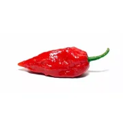 Bhut Jolokia Chile Pepper 10 Seeds - Ghost Pepper