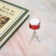 thumbnail image 4 of Modelo de instrumentos musicales, caja de instrumentos musicales en miniatura Modelo de instrumentos musicales en miniatura Decoración de modelo de instrumentos musicales Meticulosamente diseñado, 4 of 9