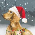 thumbnail image 4 of Evans Lichfield Piped Dog Christmas Throw Pillow Cover, 4 of 4
