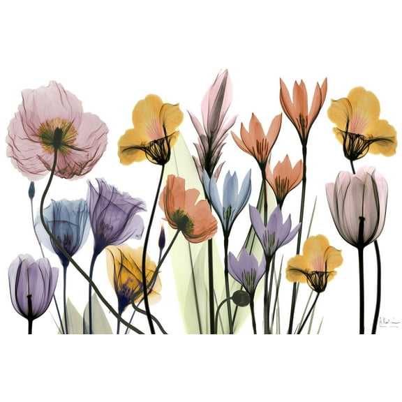 Art.com Flowerscape Portrait Art Print by Albert Koetsier, 24" x 16"