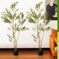 thumbnail image 3 of NOICOI Large Artificial Olive Tree 72" Tall Faux Silk Plant Natural Wood Trunk Indoor Office Home Decor, 3 of 6