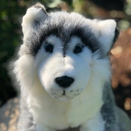 Auswella Large Realistic Siberian Husky Plush Puppy Dog Soft Cuddly Stuffed Animal Toy 18x10 Inches Walmart