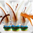 thumbnail image 1 of Shuttlecock chino Jianzi Feather resistente al desgaste Fitness Entertainment (14 cm) JShteea Para Estrenar, 1 of 9