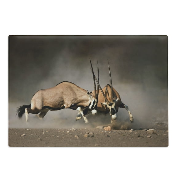 Africa Cutting Board, Fight Between 2 Gemsbok on Plains of Etosha Namibia Savage Safari Theme Design, Decorative Tempered Glass Cutting and Serving Board, Large Size, Brown Tan, by Ambesonne