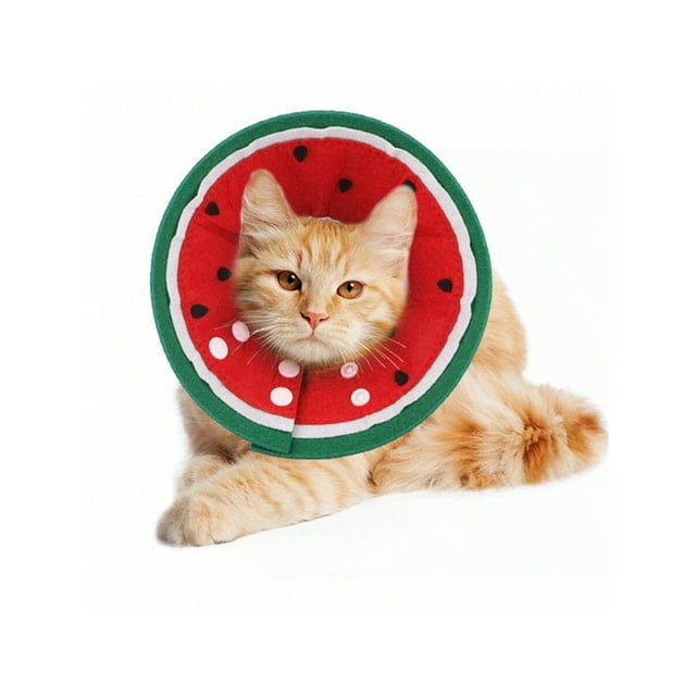 1pc Pet Donut Collar, Orange Collar, Watermelon Collar, Adjustable Elizabethan Collar, Beauty Cover Prevent Bite Collar For Cat & Dog, Suitable For Ca