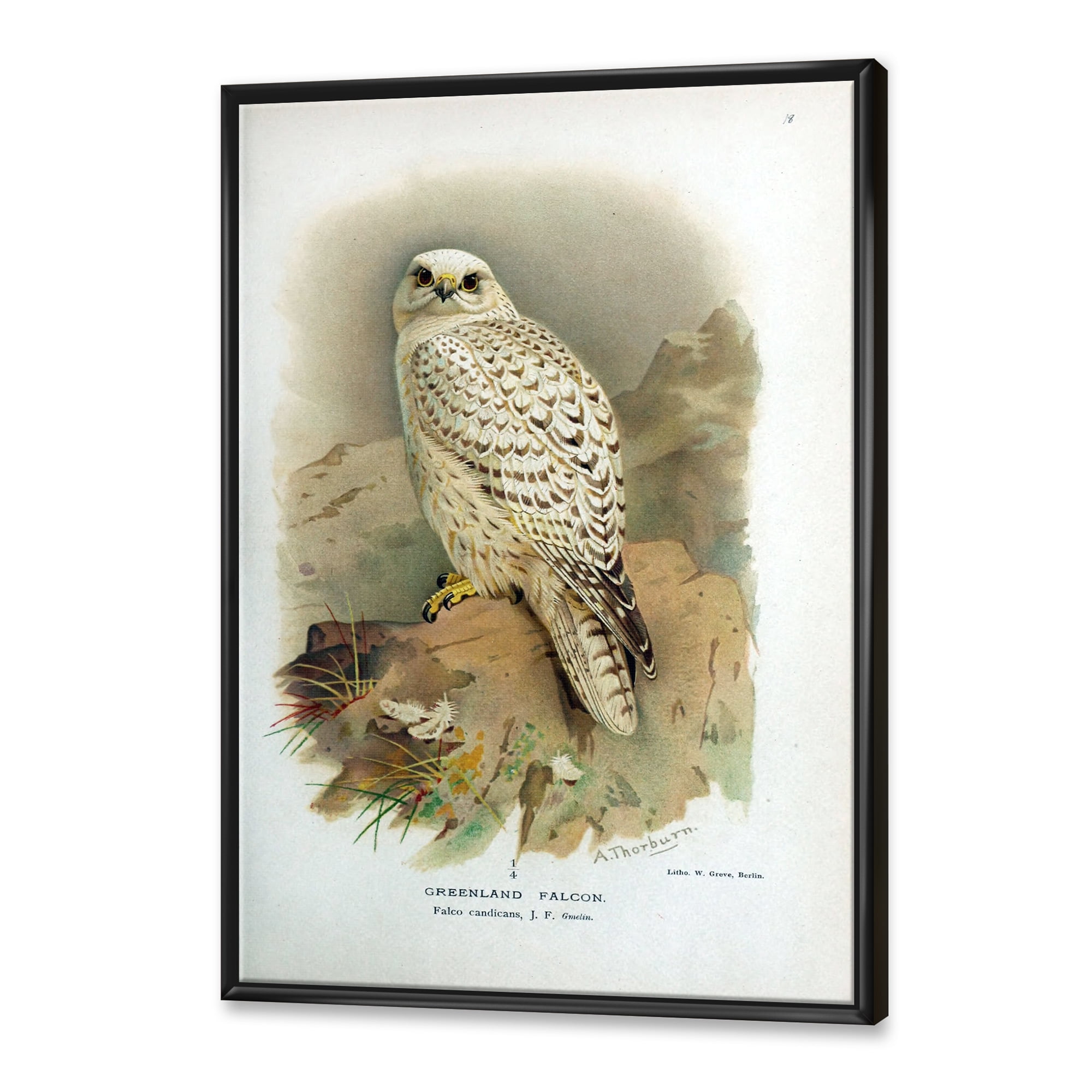 Ancient Bird Life VII 24 in x 32 in Framed Painting Canvas Art Print, by Designart