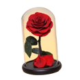 thumbnail image 1 of Regalos del día de San Valentín, decoración de San Valentín, regalos de cumpleaños, manualidades, rosa eterna en cúpula de cristal, regalos de flores , estilo E BLESIY Rosa en la cúpula, 1 of 8
