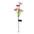 thumbnail image 4 of Lámpara de jardín forma de flor Lámpara de césped al aire libre colorida luz solar decorativa LED, rosa 2pcs Speravity HA002386-03, 4 of 7