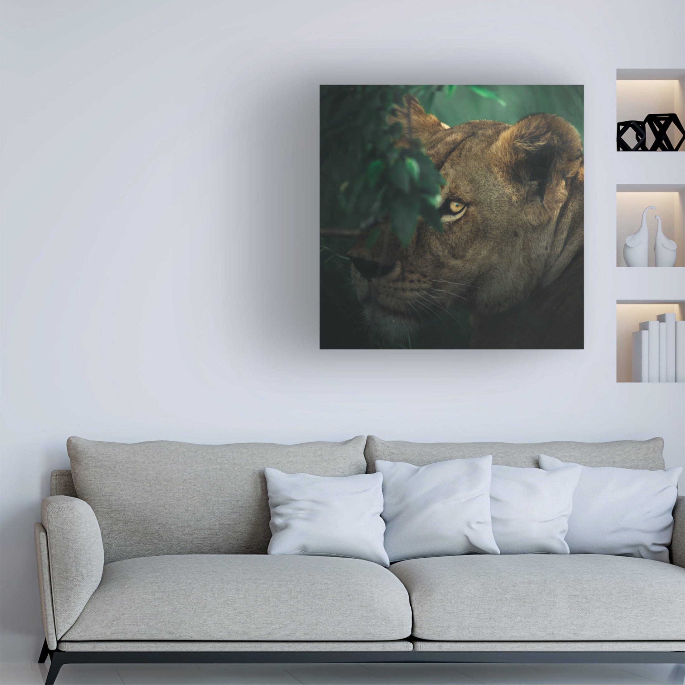 Trademark Fine Art Ahmed Sobhi  Eye Contact Canvas Wall Art