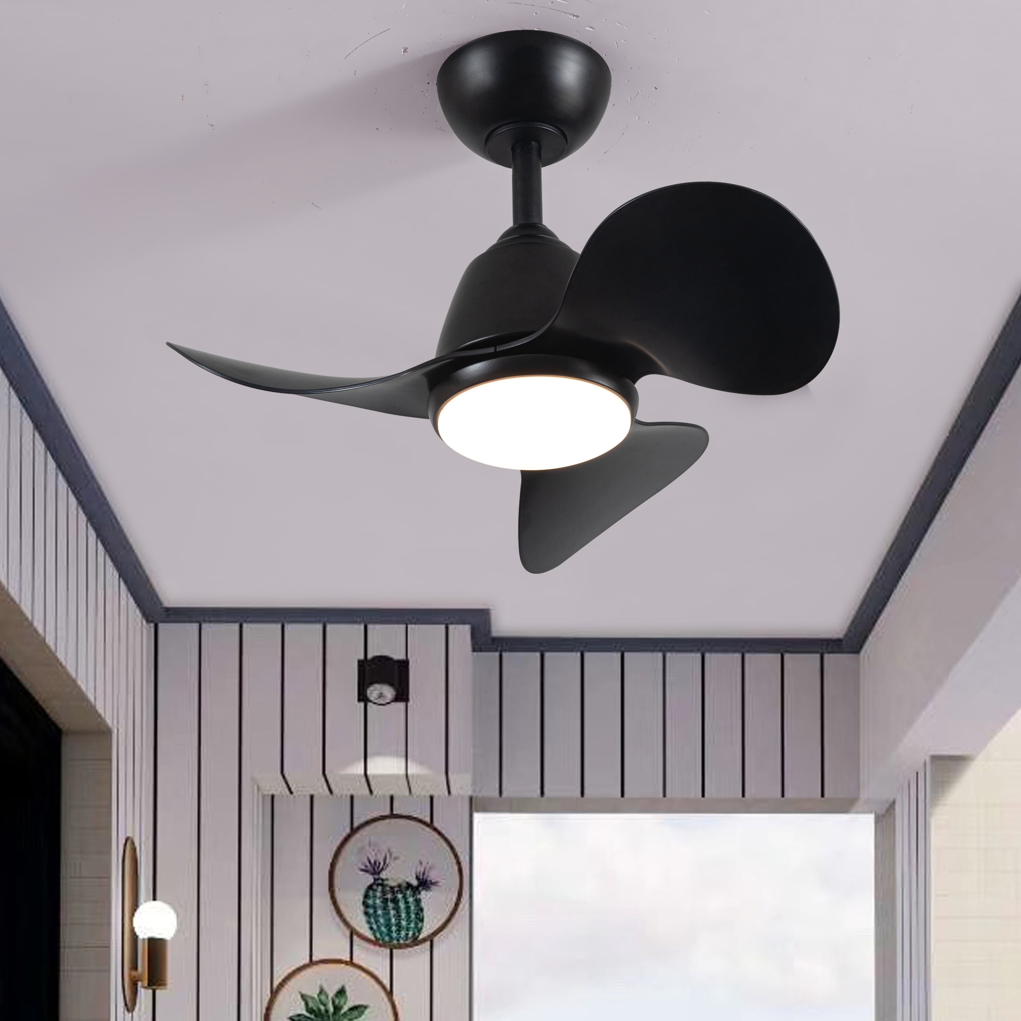 Cian 24 in. 1-Light Indoor Black Finish Ceiling Fan with Light Kit