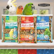 Pennington Medium Bird Blend Bird Food for Cockatiels, Love Birds; 3 lb Bag