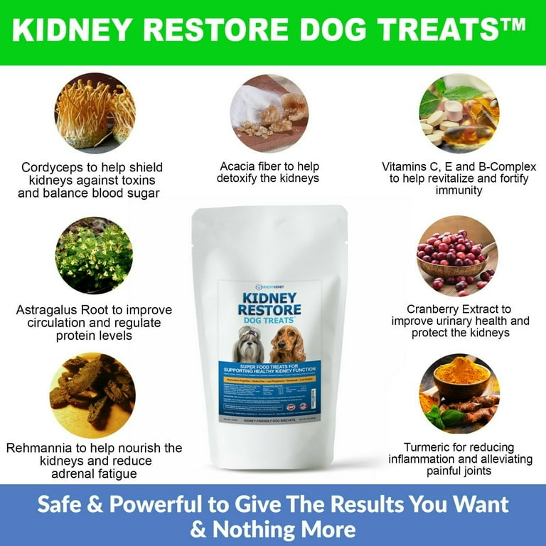 Diet for dogs sales with kidney problems