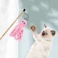 thumbnail image 4 of Interactive Cat Teaser Wand Funny Design For Indoor Cats Plaything, 4 of 4