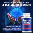 thumbnail image 2 of Focus Max Capsules – FocusMax Natural Blend Memory Focus Support Supplement, 2 Pack, 120 Capsules, 2 of 7