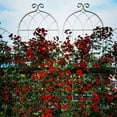 thumbnail image 3 of Tcbosik 4 Pack Metal Garden Trellis for Climbing Plants, 71" x 19.7" Outdoor Decoration for Backyard, Patio, Lawn, Cream White, 3 of 8