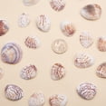 thumbnail image 2 of 50 Piezas Concha de Playa Granel Sunnimix Joyas de Bricolaje, 2 of 8
