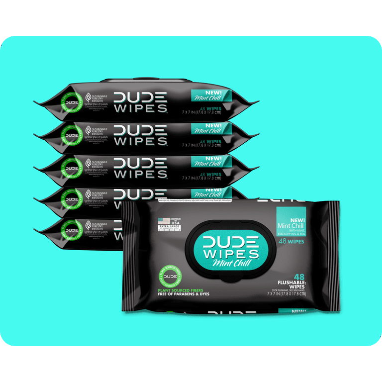  DUDE Wipes - Flushable Wipes - 1 Pack, 48 Wipes