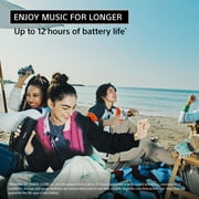Sony ULT FIELD 1 Waterproof Portable Bluetooth Speaker, Black