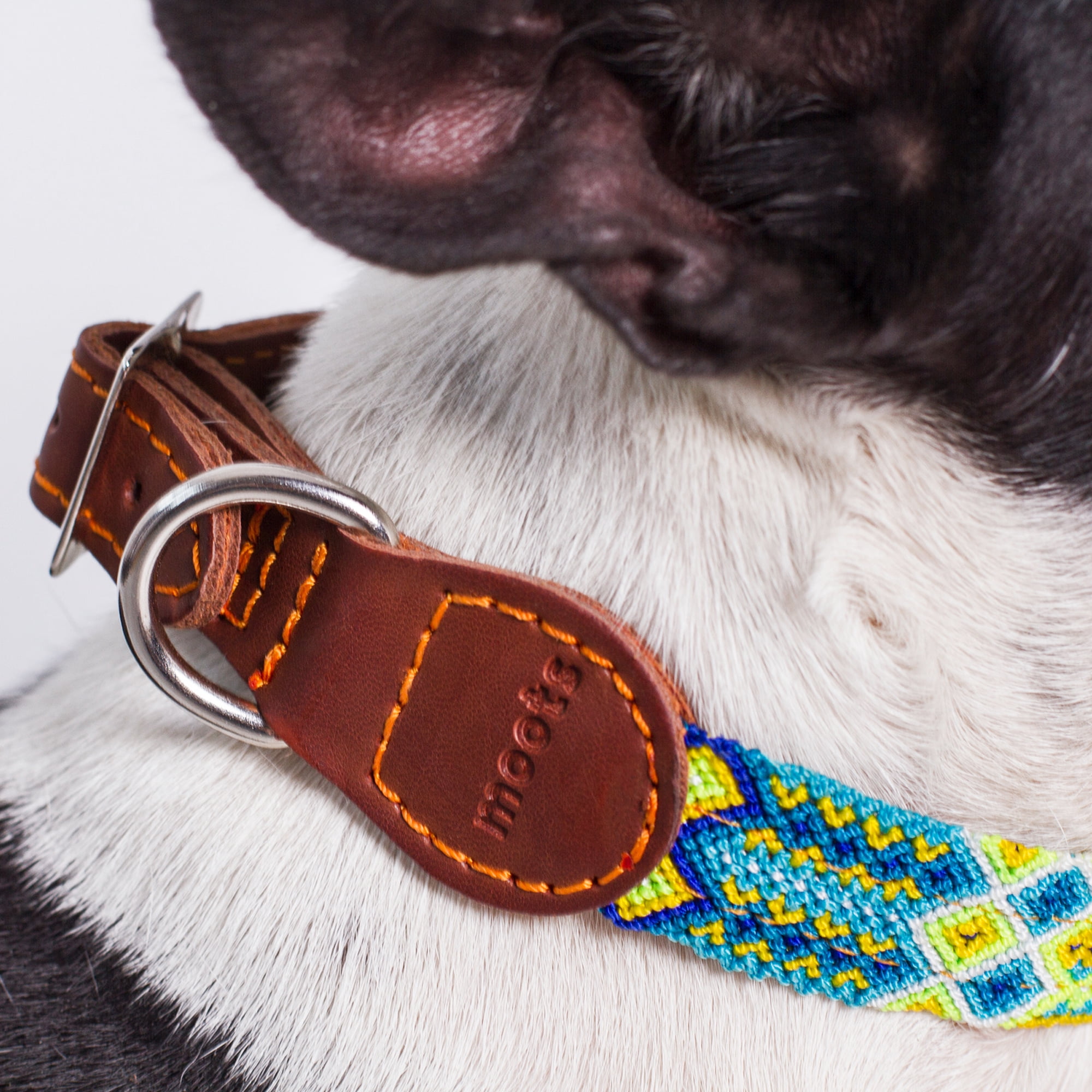 Moots Root Hand-Knitted Leather Pet Collar Blue Medium