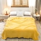 thumbnail image 1 of Manta de Cama de Fleece para Aire Acondicionado - Cubierta Cómoda y Suave, Manta de cama individual de felpa coral adecuada para todas las estaciones, manta ligera de aire acondicionado, manta o ester, 1 of 8