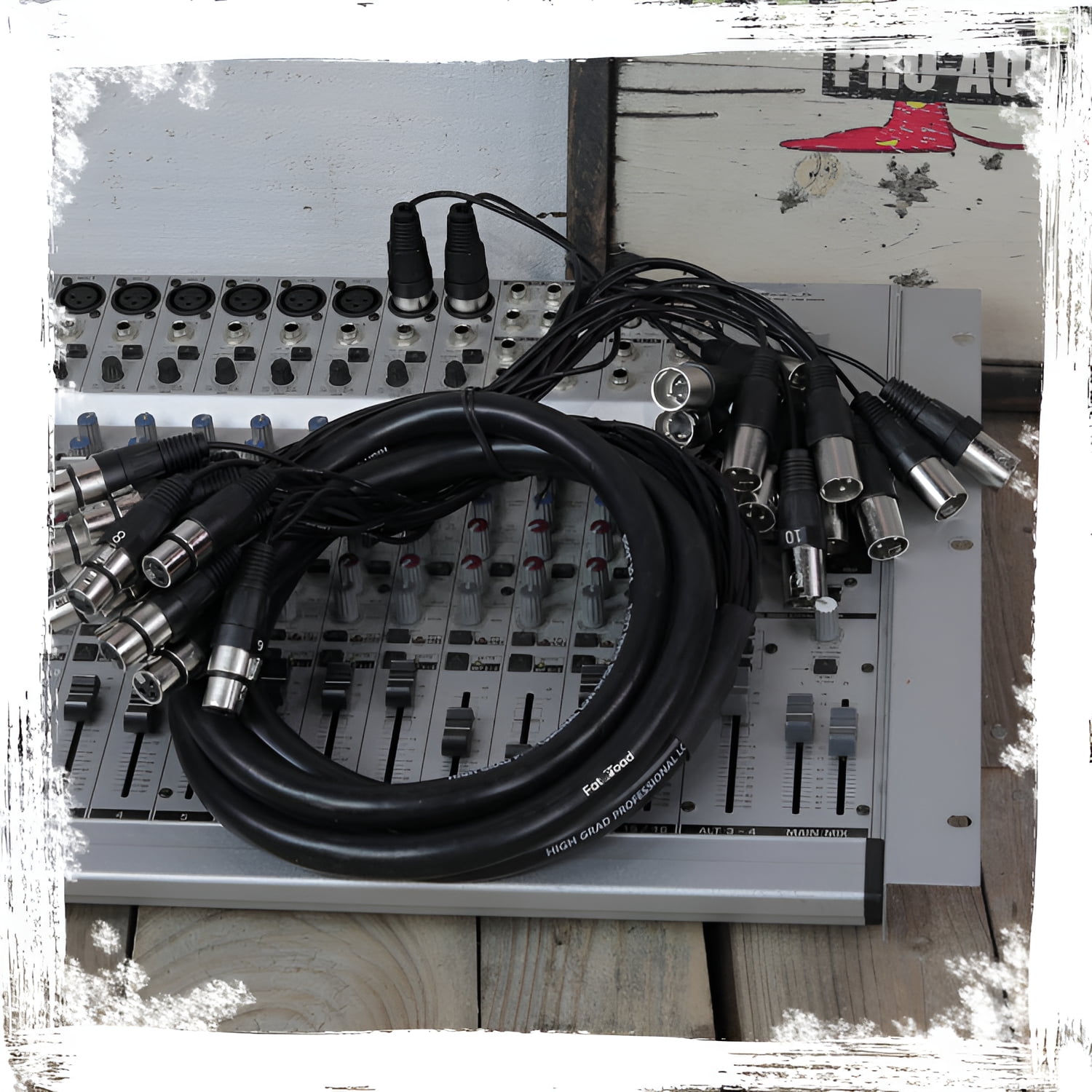Fat Toad Studio XLR Snake Cable (16 Channels) 10 FT - Stage, Live Sound Recording Multicore Cords - Pro Audio Shielded Balanced Double-Sided Microphone Cables for DJ Digital Mixers or Amplifiers