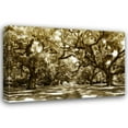 thumbnail image 1 of Alan Hausenflock 32x23 Gallery Wrapped Canvas Wall Art Titled - Druid Oaks I, 1 of 4