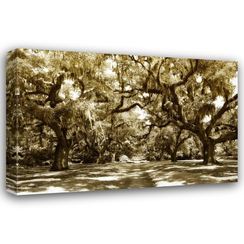 Alan Hausenflock 32x23 Gallery Wrapped Canvas Wall Art Titled - Druid Oaks I