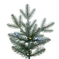 thumbnail image 2 of Vickerman 6.5' x 58" Imperial Blue Spruce Artificial Christmas Tree, LED Color Changing Mini Lights, 2 of 6