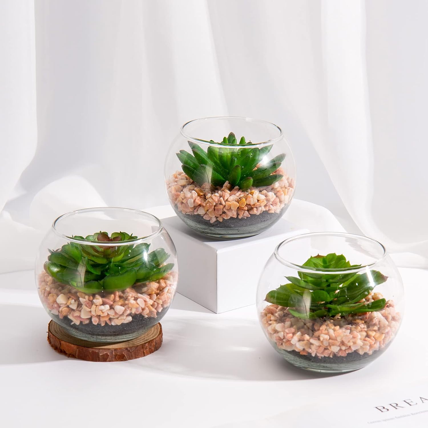 Mini Fake Plants 3 Packs Artificial Succulents Plants in Round Glass Vase Cute Faux Succulents for Bathroom Kitchens Shelf Table Decor