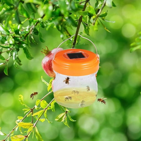 

Black and Friday Deals 2024 Clearance Under $10 Vespid Wile Outdoor Hanging Vespid Wile For Outside Colourful Wile Solar Powered Vespid With Light Vespid Catcher Wile Vespid