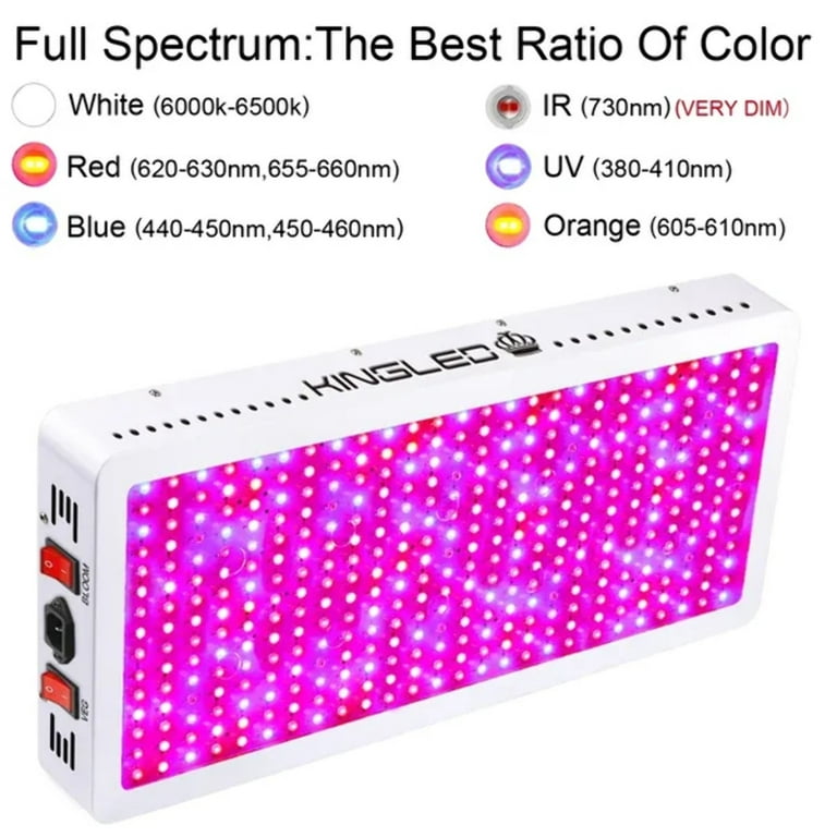 KingLED King Plus 4000W Double Chips LED Grow Light Full Spectrum for  Greenhouse and Indoor Plant Flowering Growing (10w LEDs)