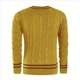 thumbnail image 3 of Suéter de Cuello en V para Hombre, Informal, de Punto , Ajustado, de Larga, para Otoño e Invierno. Amarillo Jengibre L, 3 of 5
