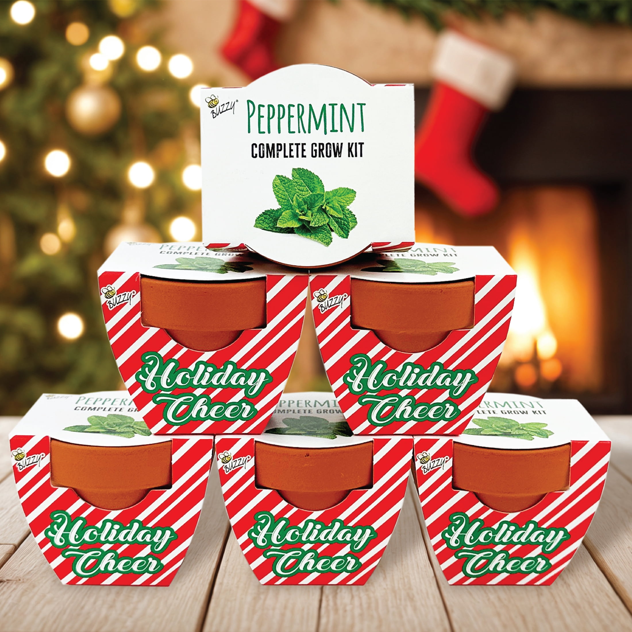 Buzzy Seeds Holiday Peppermint Mini Grow Pot Seed Starter Gardening Kit 6pk