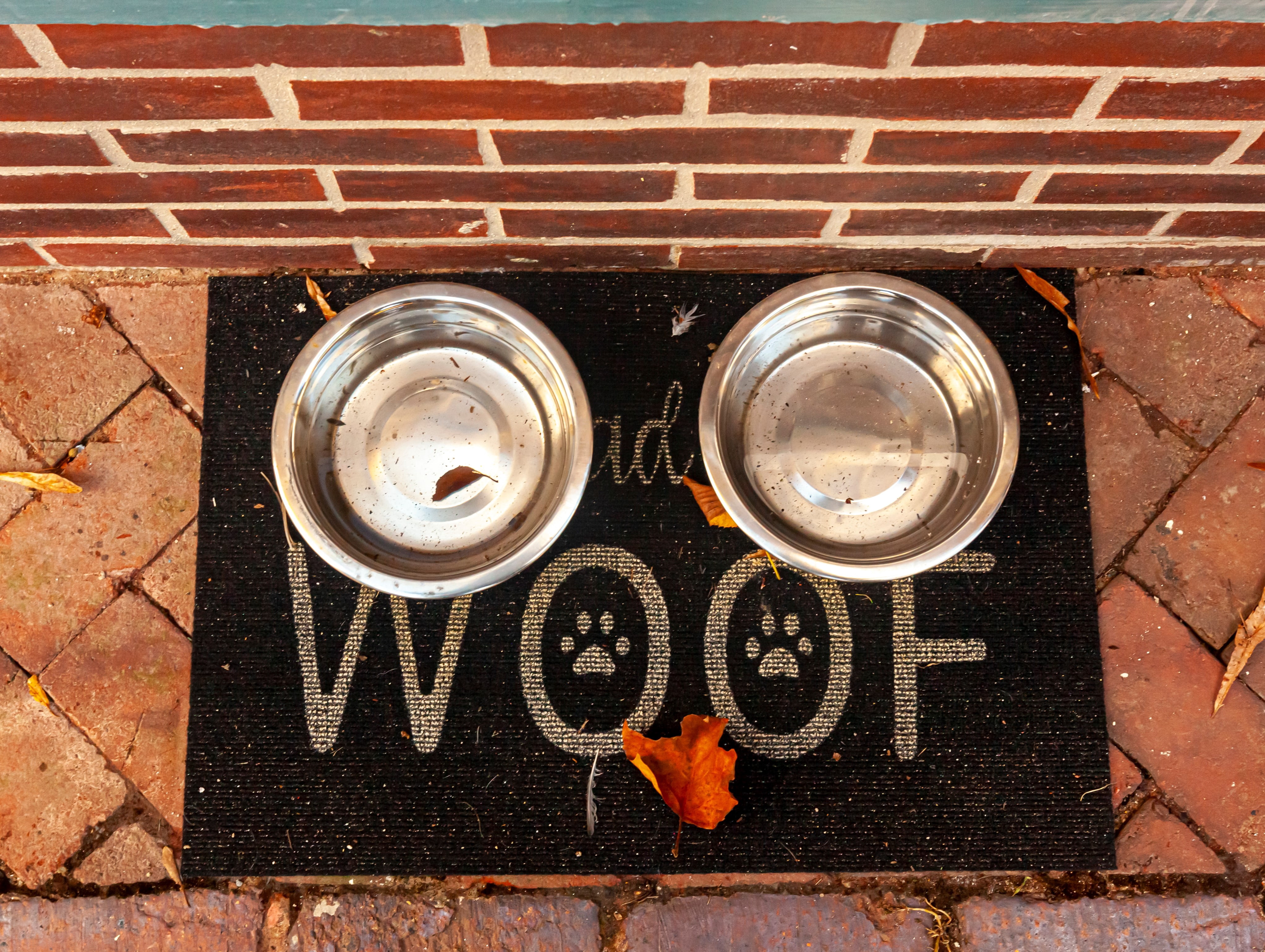 4 Pack - Stainless Steel Metal Dog Bowls (54 fl ounces) - Perfect for Dog Food or Water. Ideal for Use on Floor or for Elevated Stands.