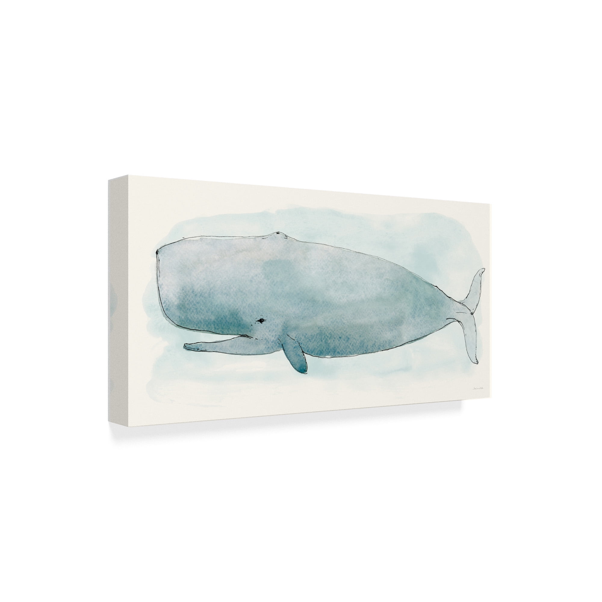 Trademark Fine Art 'Sea Life V Whale' Canvas Art by Sara Zieve Miller