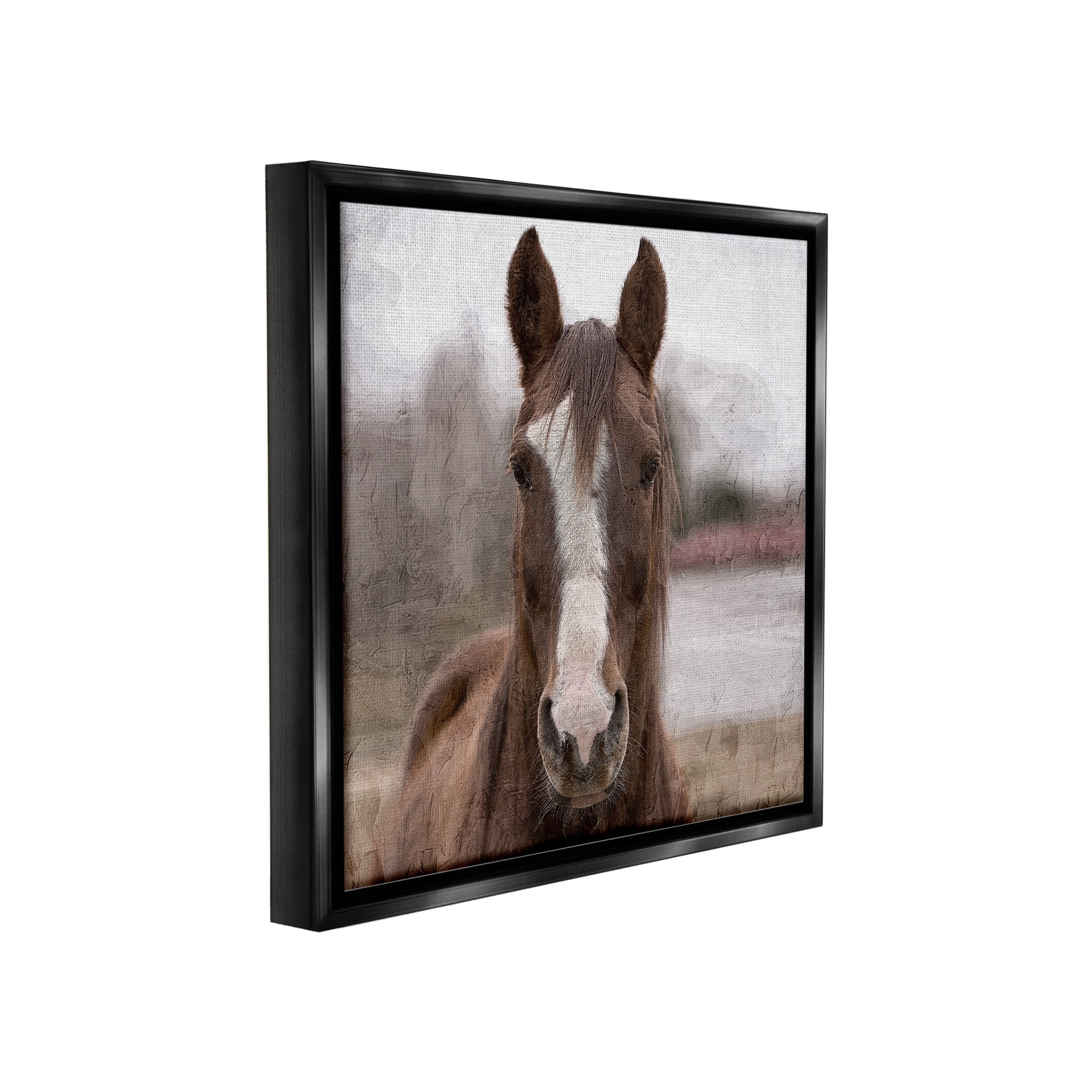 Stupell Industries Brown Horse Portrait Animals & Insects Photography Black Floater Framed Canvas Art Print Wall Art, 18 x 18