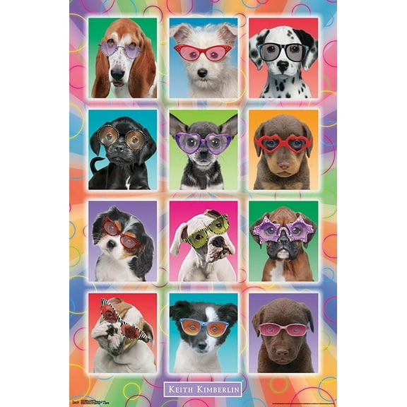 Keith Kimberlin - Puppies - Sunglasses Wall Poster, 22.375" x 34"