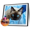 thumbnail image 1 of Taladro Diamond Painting (DE2443) Full Eye Cat 5D DIY Craft Kit Home Decor 50x70cm Azul Hugtrwg Para estrenar, 1 of 1