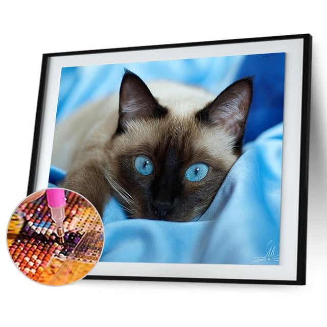 Taladro Diamond Painting (DE2443) Full Eye Cat 5D DIY Craft Kit Home Decor 50x70cm Azul Hugtrwg Para estrenar