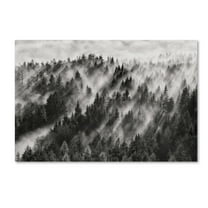 Trademark Fine Art 'Sundance No1' Canvas Art by Davorin Baloh