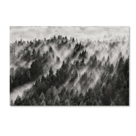 Trademark Fine Art 'Sundance No1' Canvas Art by Davorin Baloh