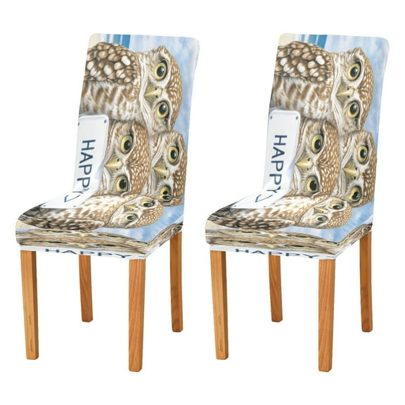 BZSMCE Chairs Slipcovers Dining Chair Covers Owls Hold in Happy Creative Pattern