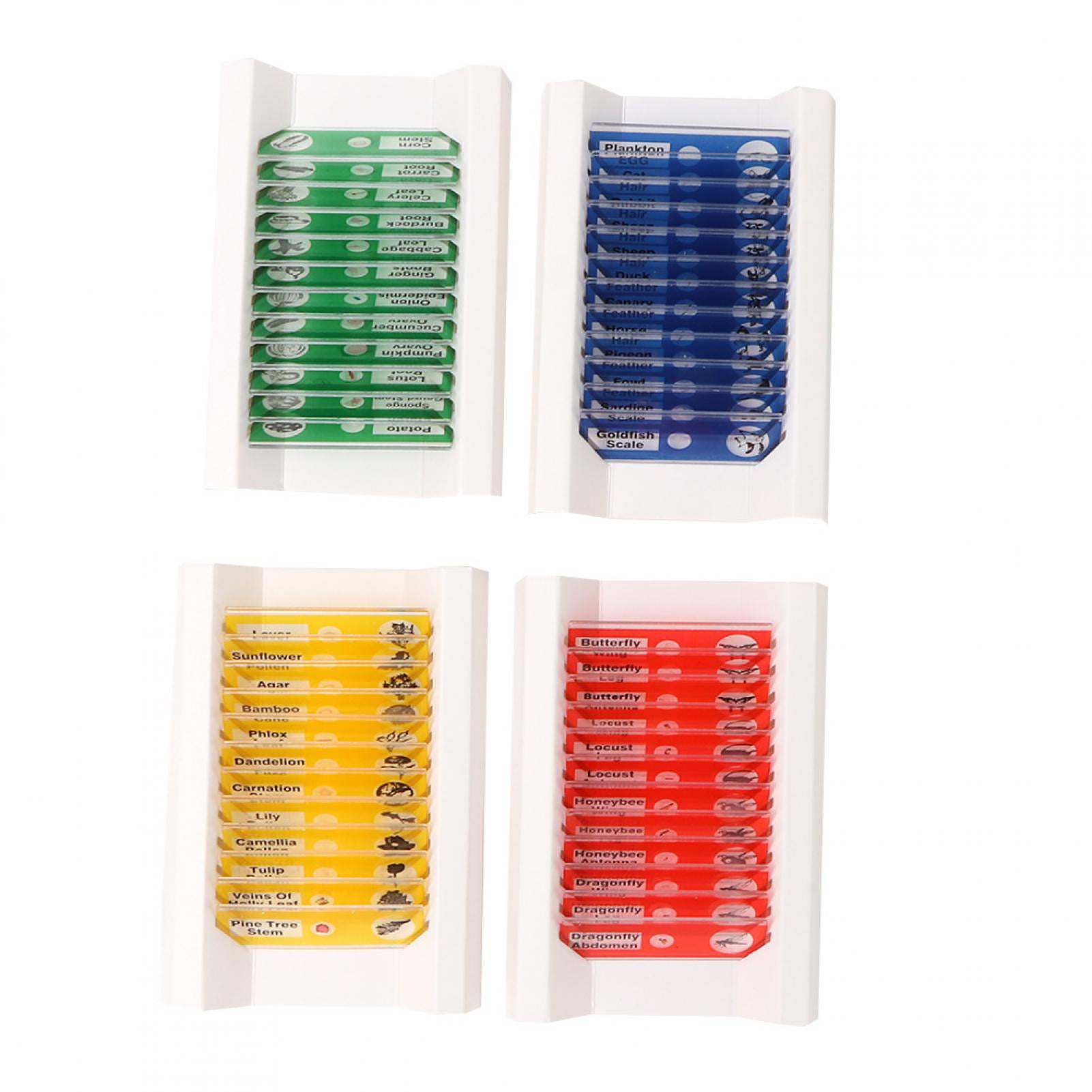 Details about   New Free Shipping Plastic Prepared Microscope Slides Set for Kids Students 