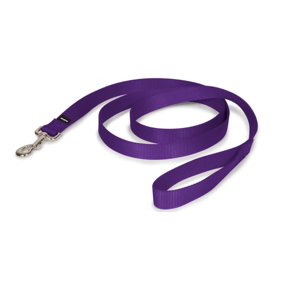 PetSafe Nylon Dog Leash, Strong, Durable, Easy to Use Bolt Snap, 1" x 6', Deep Purple