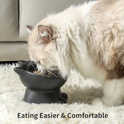 Slanted Elevated Cat Bowls: 5 Inch Ceramic Raised Cat Food Bowl for Protecting Pet's Spine - Microwave & Dishwasher Safe -Matte Black (4.5 OZ /1 PC)