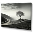 thumbnail image 2 of Designart "Solitude Tree In Black And White Photography" Tree Canvas Wall Art, 2 of 7