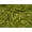 Green, variant on Minerva Core Range Embossed Dimple Plush Fleece Fabric Green - per yard
