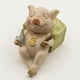 thumbnail image 3 of Cerdo De Resina, Mini Adornos De Cerdito Bonitos, Escultura De Animales Para La Decoración Del Coche Del Hogar seitruly  HA040321-01, 3 of 6