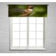 thumbnail image 1 of Cortina Cenefa Barra Bolsillo ABPHQTO Colibrí Volando Verde Natural 45x130 cm, 1 of 1